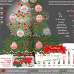(image for) The Other 3/4 of the Christmas Tree (Missio Nexus)