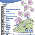 The Blossoming of the Korean Mission Movement (Missio Nexus)