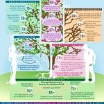 Flourishing Teams (Missio Nexus) (image for) Flourishing Teams (Missio Nexus)