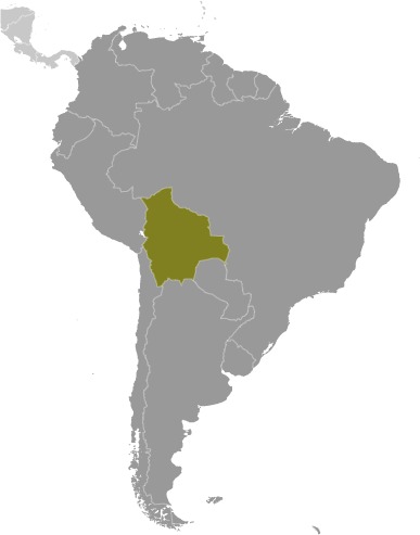 Bolivia (World Factbook website)
