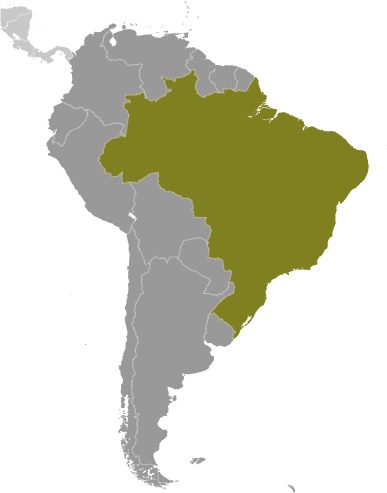 Brazil (World Factbook website) - Click Image to Close