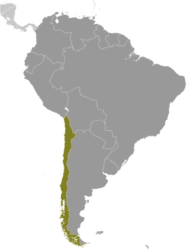 Chile (World Factbook website) - Click Image to Close