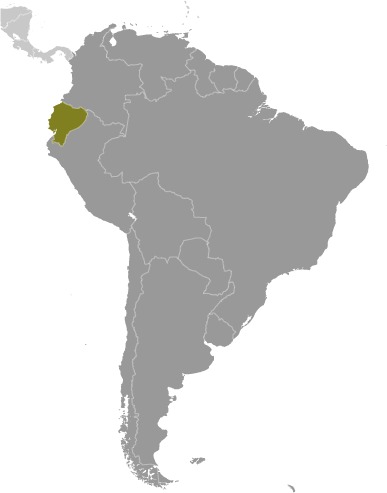 Ecuador (World Factbook website)