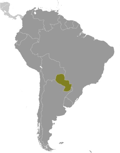 Paraguay (World Factbook website) - Click Image to Close