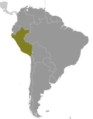 Peru (World Factbook website) - Click Image to Close