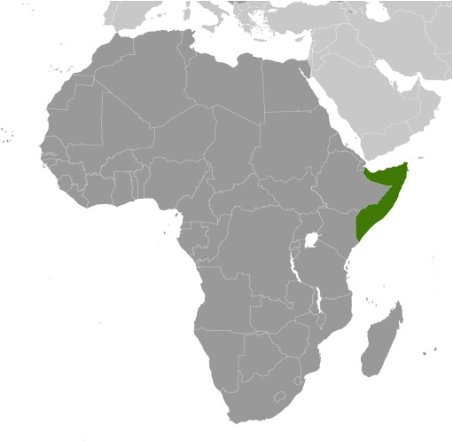 Somalia (World Factbook website)