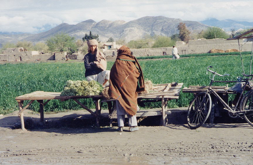 Selling Vegetables / Afghanistan / Afghan - Click Image to Close