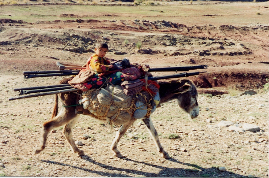 Nomad Child / Afghanistan / Kuchi - Click Image to Close