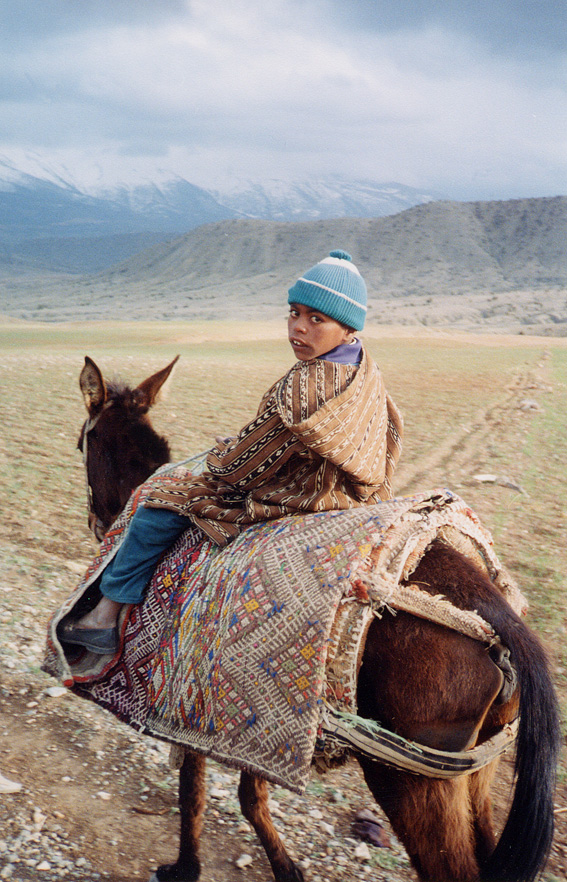 Young Boy Riding Donkey / Morocco / Berber - Click Image to Close