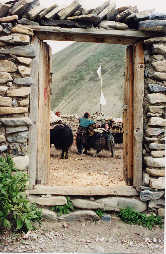 Man And Yak Through Door / Nepal / Dolpo - Click Image to Close