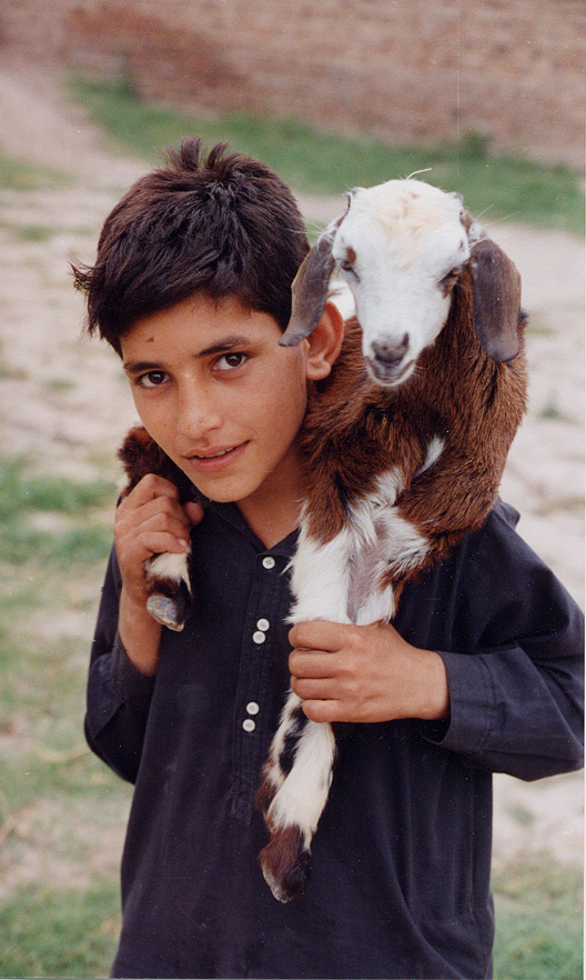 Boy Holding Goat / Pakistan / Pushtun - Click Image to Close