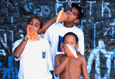 (image for) Untitled 62 / Brazil