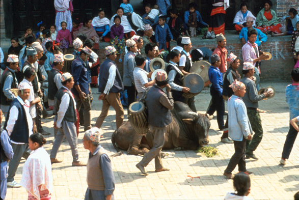 Untitled 464 / Nepal