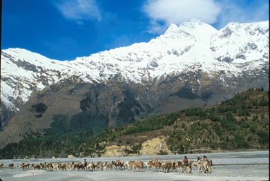 Untitled 520 / Nepal