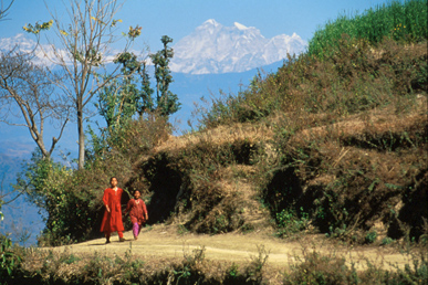 Untitled 530 / Nepal