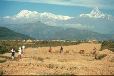 Untitled 543 / Nepal