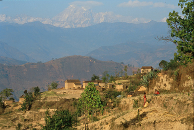 Untitled 556 / Nepal - Click Image to Close