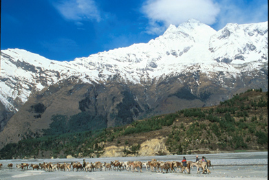 Untitled 560 / Nepal