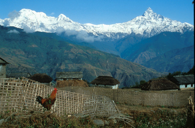 Untitled 572 / Nepal