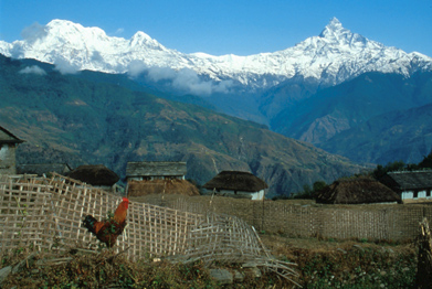 Untitled 597 / Nepal - Click Image to Close