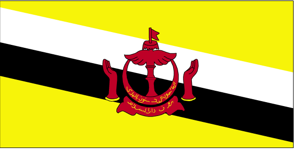 Brunei flag