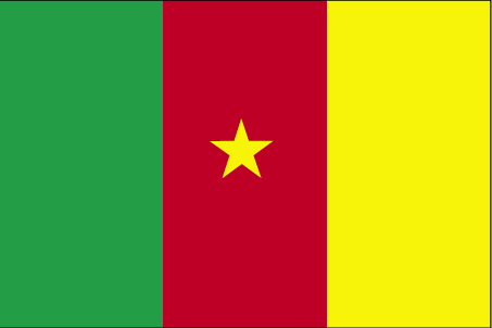 Cameroon flag - Click Image to Close