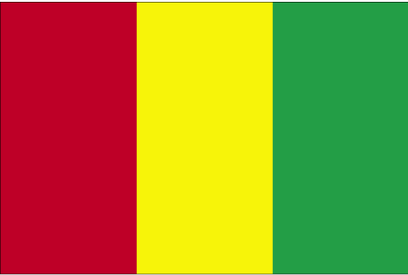 Guinea flag - Click Image to Close