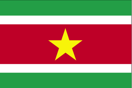 Suriname flag - Click Image to Close