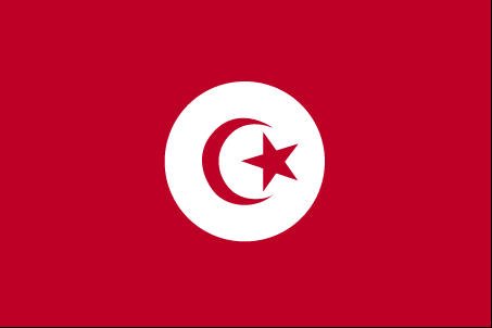 Tunisia flag - Click Image to Close